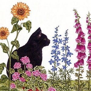 Alice's Cottage Cotton Floursack Kitchen Tea Towel